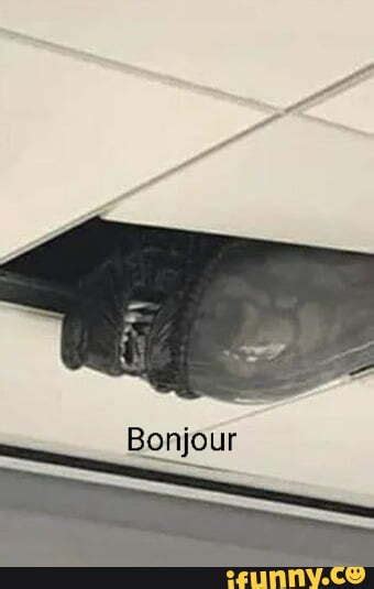 Alien Isolation Meme 的图像结果