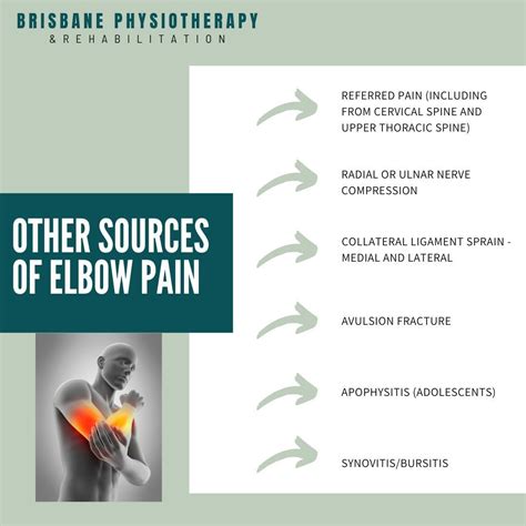 Elbow Joint - What is it and common pains & issues - Brisbane Physiotherapy & Podiatry