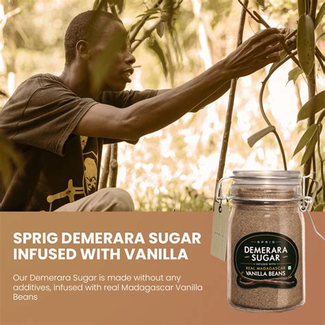Buy Sprig Demerara Sugar Infused with Real Madagascar Vanilla, 175 g ...