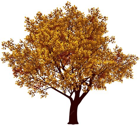 Image result for Fall Tree Vector