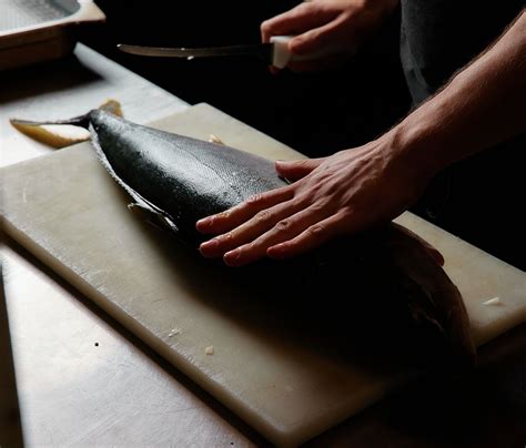 The Recreation (@the_rec_fitzroy_north) • Instagram photos and videos