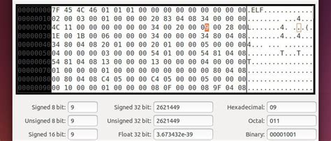 Image result for Linux Hex Editor Structures