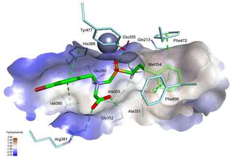 N-Benzyl Residues as the P1′ Substituents in Phosphorus-Containing ...