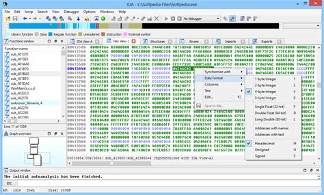 IDA Pro Reverse Engineering Tutorial 的图像结果
