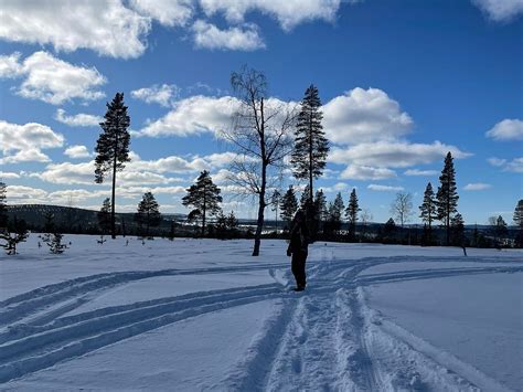 IVALO TREK LAPLAND (2025) All You Need to Know BEFORE You Go (with ...