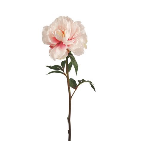 Décoration Florale Artificielle Renoncule Artificielle Rose Pâle H40cm ...