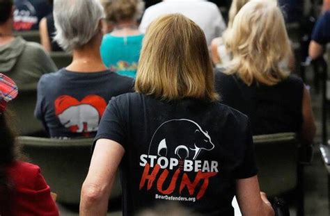 More Than 160,000 Apply for Florida's First Bear Hunt in a Decade ...