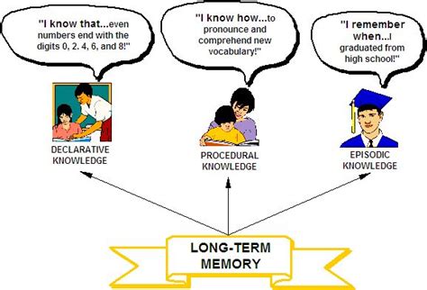 Image result for Long-Term Memory Study