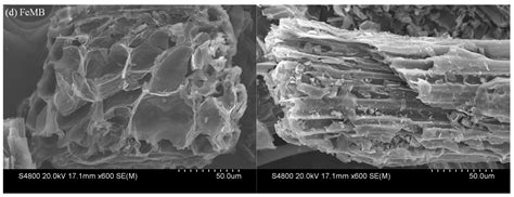 Preparation of Modified Biochar and Its Adsorption of Cr(VI) in Aqueous ...