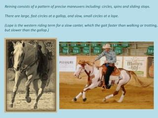 Image result for Reining Tutorials