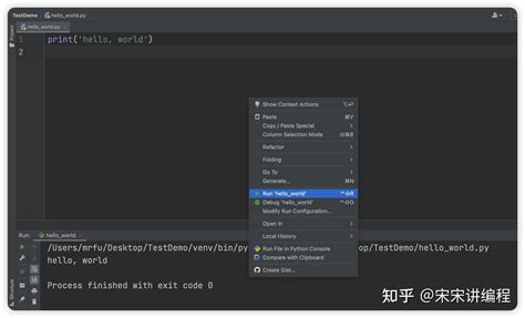 How to Run Python in PyCharm 的图像结果