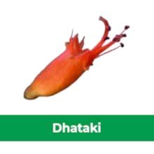 Buy Kerala Ayurveda Draksharishta 450 ml | For Anemia | Non ...