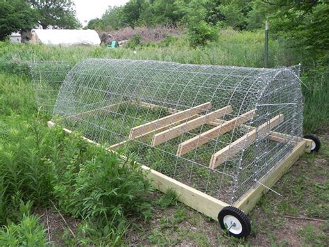 diy chicken tractor