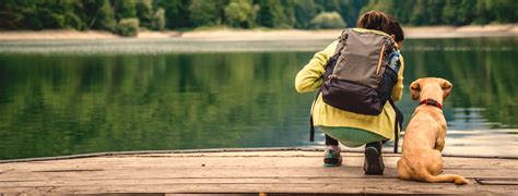 Homepage | Oley Valley Animal Clinic