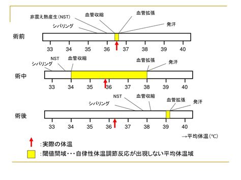 Image result for Subset Sum Dynamic Programming