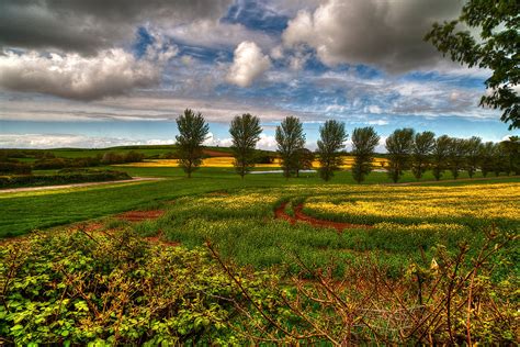 Environmental Pictures 的图像结果