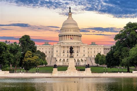 Senators Caroon 的图像结果