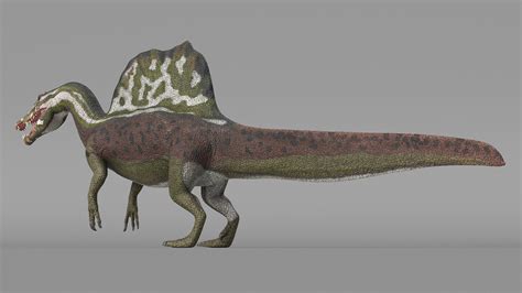 Spinosaurus Dinosaur Green Basic Pose 3D | 3D Molier International