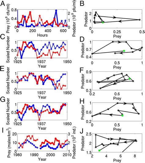 Image result for Predator-Prey Cycles