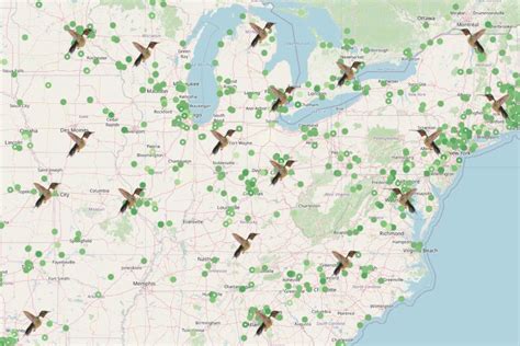 Image result for Hummingbird Distribution Map