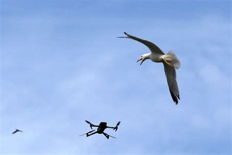Unmanned Warfare
