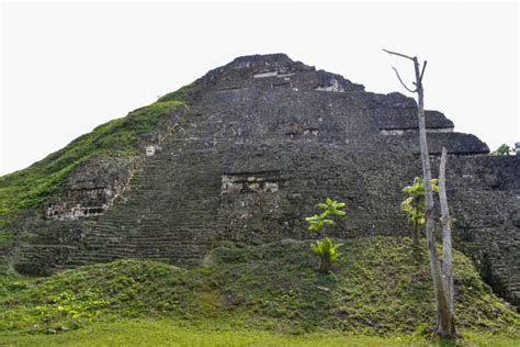 Mayan Pyramids Tikal Landscape Mayan Stock Photos, Pictures & Royalty-Free Images - iStock