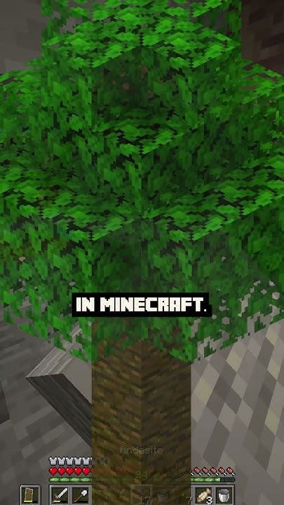 Image result for Helix Tree Sapling Minecraft
