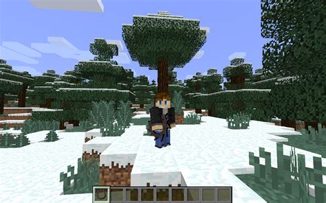 Image result for Java Minecraft Medevil Weapons Mod