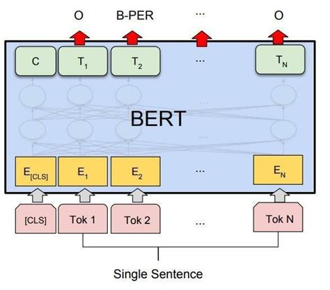 Image result for Bert Encoder Pytorch