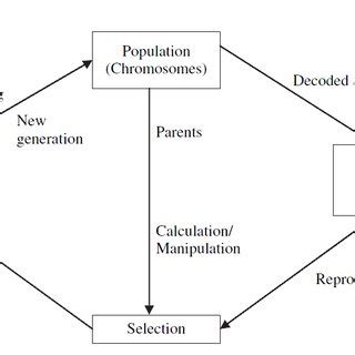 Image result for Algorithm Cycle