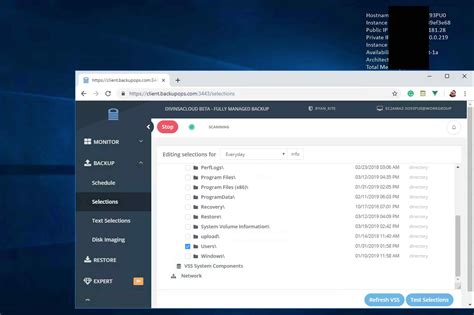 Image result for Backing Up Virtual Machines VMware