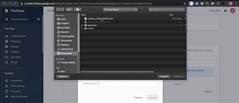 Firebase Push Notification When Adding New Document in Flutter 的图像结果