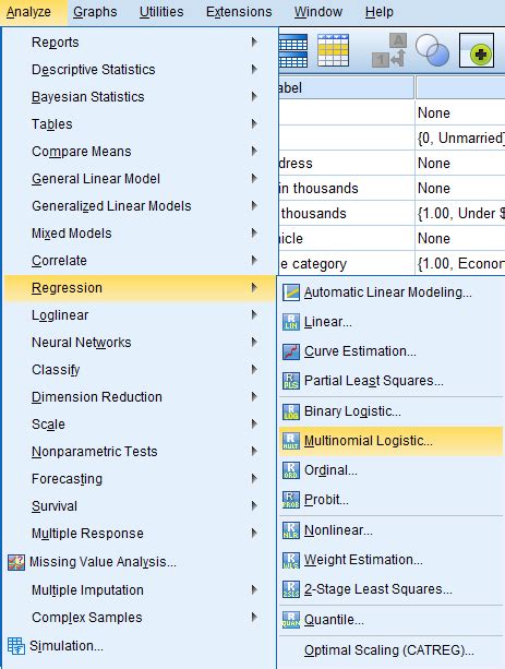 Using Multiple Logistic Regression SPSS 的图像结果