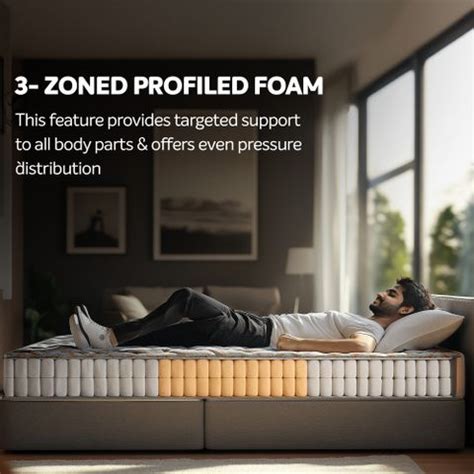 Sleepwell Spinetech Classic,3-Zoned Profiled Resitec Foam, Quiltec Foam ...