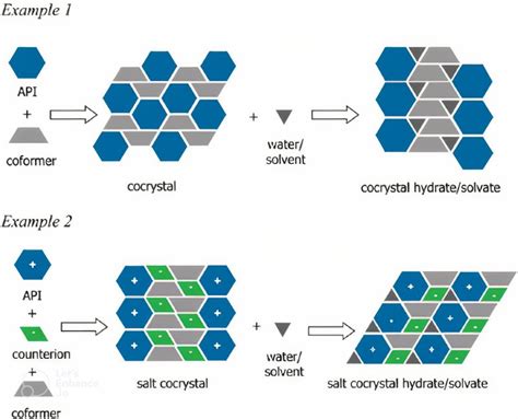 Image result for Video Encapsulation Methods Co-Crystallization