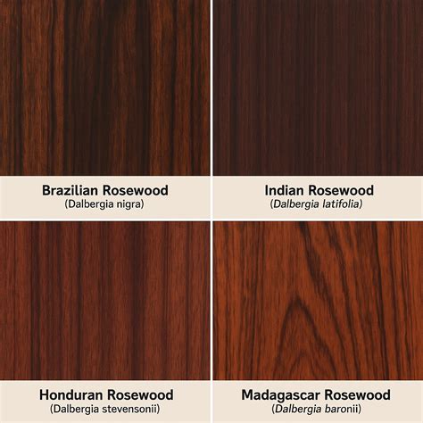 Rosewood: Properties, Types and Uses in Detail