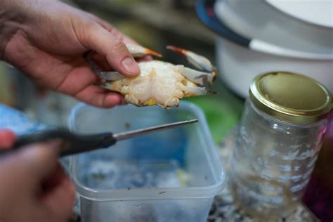 Image result for How to Clean Cook Soft Shell Crabs