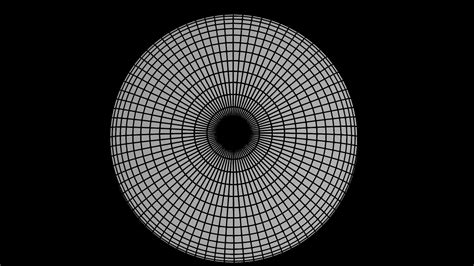 Image result for Equirectangular Forest