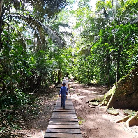 ANACONDA EXPEDITIONS TAMBOPATA - All You SHOULD Know Before Going 2026 ...