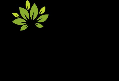 Winston-Salem Doctors | Robinhood Integrative Health