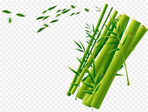 绿色竹子竹筒装饰背景素彩网PNG图片素材下载_图片编号pydbpjwy-免抠素材网