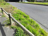 Communitree - Gardening at N2 Patch