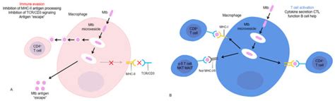 Application of Flow Cytometry in the Diagnosis of Bovine Epidemic Disease