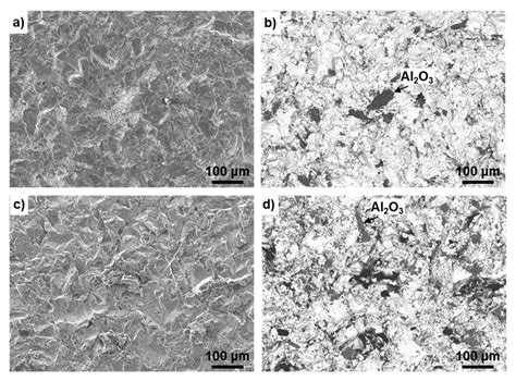 Biological Safety Evaluation and Surface Modification of Biocompatible ...