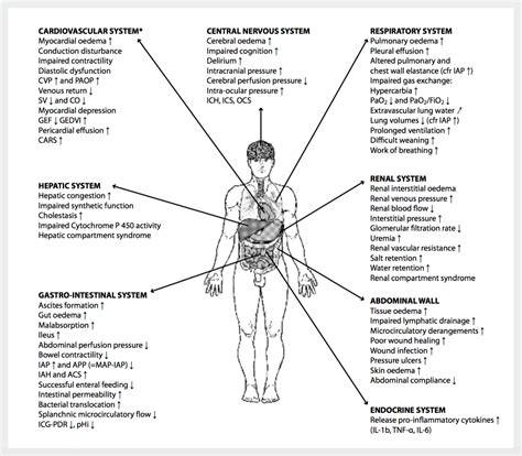 The Dangers of Over-Resuscitation in Sepsis - emdocs