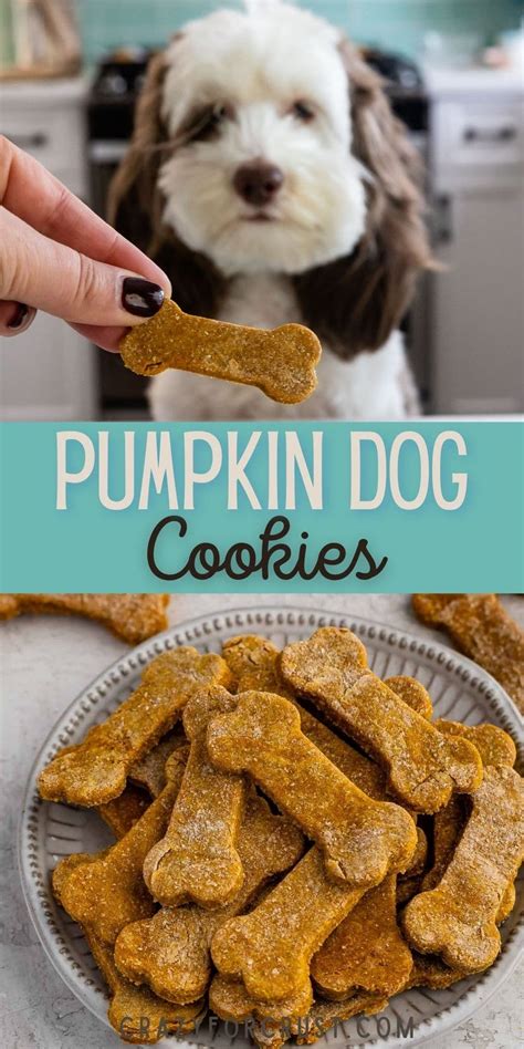 Image result for Using Bench Dog Cookies