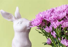 Image result for Pretty Pink Bunny