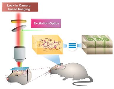 Journey of NQM's Quantum Sensing and Metrology Hub with lab grown ...
