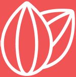 Cranberry, Cashew & Almond | Snack Bar | Wild Date