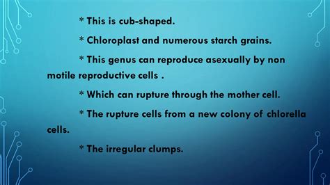 Image result for Reproduction of Chlorella